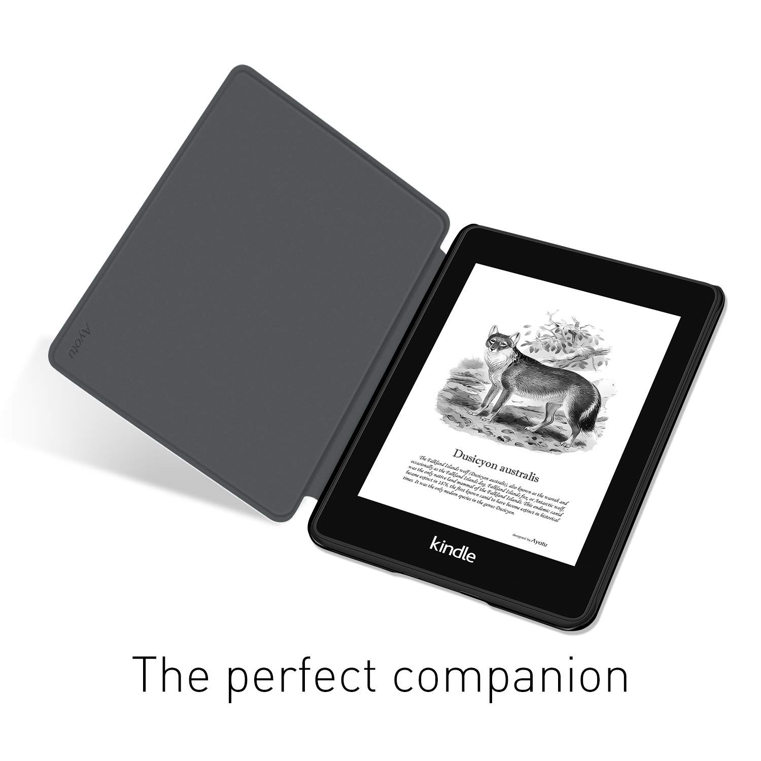 Dành Cho Máy Đọc Sách Kindle P - đánh giá và giá Kindle Tablet Accessories
